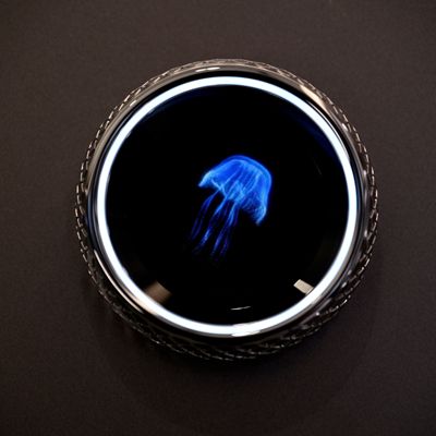 �c���鿴Ԕ����Ϣ���}��Ħ��ȫ������ϵ�� ��x�Δ���211